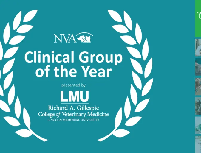Clinical Group of the Year, Lincoln Memorial University insignia
